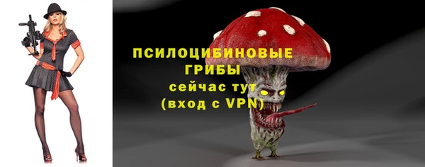 таблы Медвежьегорск