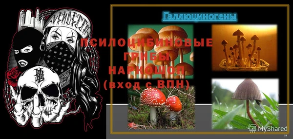 таблы Медвежьегорск